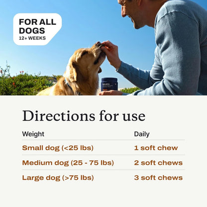 Dog probiotic chewable tablets