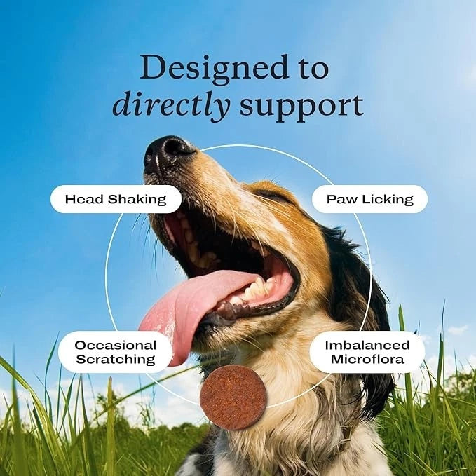Dog probiotic chewable tablets