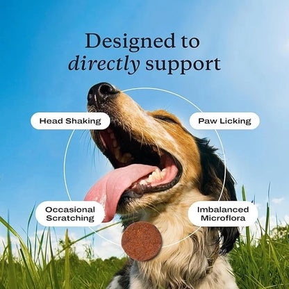 Dog probiotic chewable tablets